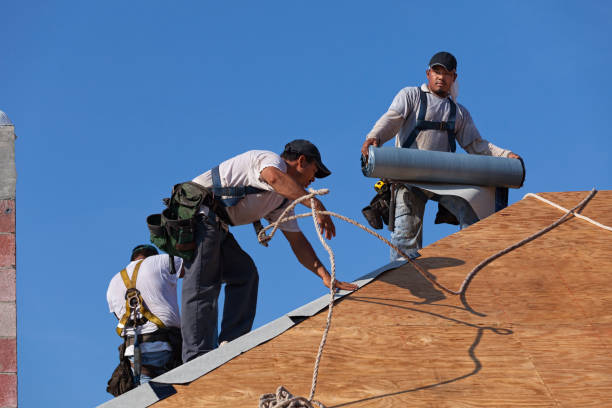 Professional Roofing Contractor in Delavan, WI