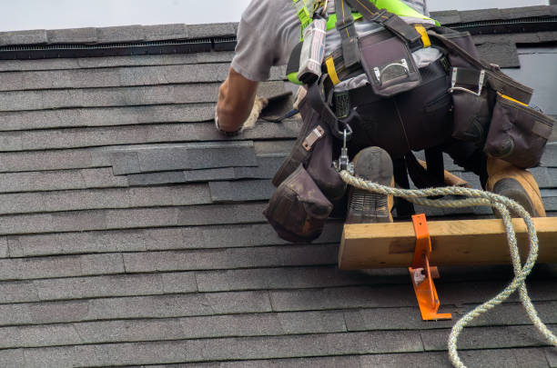 Roof Gutter Cleaning in Delavan, WI