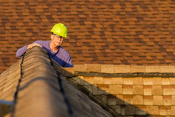 Best Roof Gutter Cleaning  in Delavan, WI
